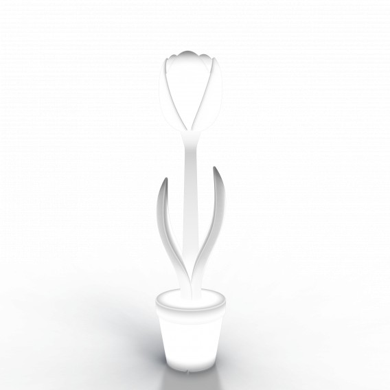 Светильник  BERKANO с подсветкой Flora Snow White 2025 г.