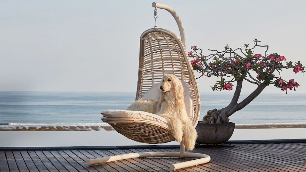 Кресло ЮЖНЫЙ БЕРЕГ ЛАЙН 2026 г.