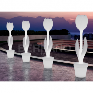 Светильник  BERKANO с подсветкой Flora Snow White 2025 г.