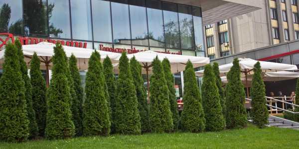 Зонт профессиональный Palladio Standard