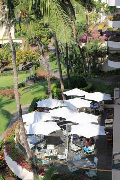 Зонт профессиональный четырехкупольный Multiflex Paraflex