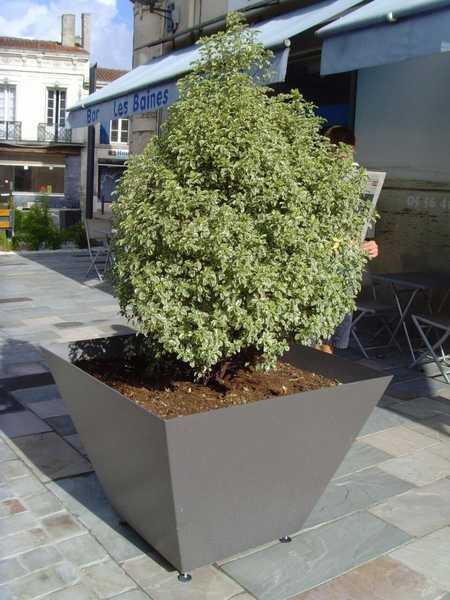 Вазон Феррара, Вазоны 2026 г.