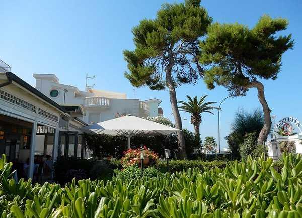 Зонт профессиональный телескопический Jumbrella CXL