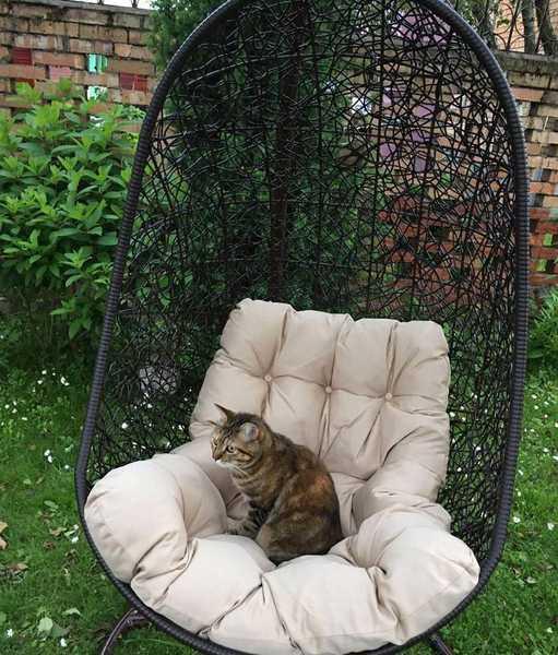 Кресло плетеное подвесное Изи