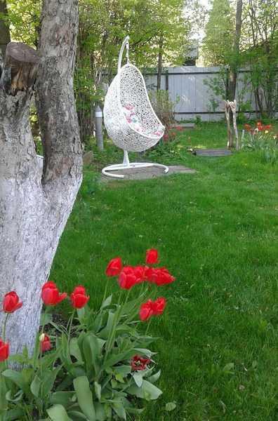 Кресло плетеное подвесное Изи