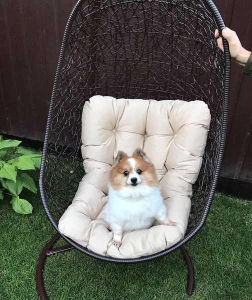 Кресло плетеное подвесное Изи