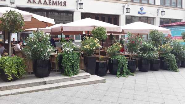 Зонт профессиональный телескопический