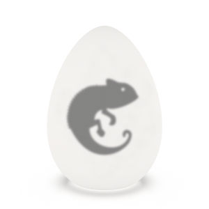 Светильник Dino C с RGB подсветкой 2025 г.