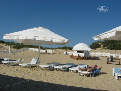 Большой пляжный телескопический зонт Альбатрос. 4х4 м., квадратный. 2025 г.