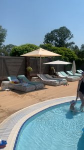 Шезлонг Южный берег 2025