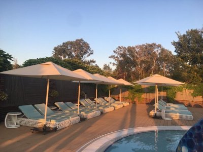 Шезлонг Южный берег 2025