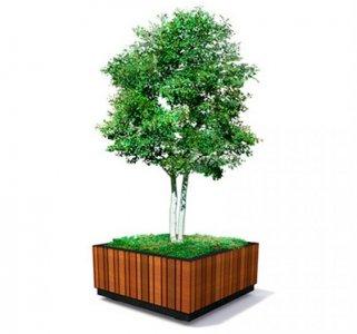 Вазон Солид M, Вазоны 2026 г.