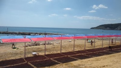 ЛАСТОЧКА Пляжный теневой навес (сборно-разборный). Самая красивая модель на Черном море и водоемах России. Цена 2025 г.