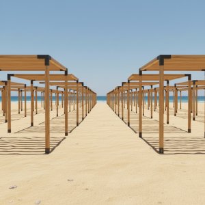 ГНЕЗДО АЛЬБАТРОСА теневой навес 2026 г. 