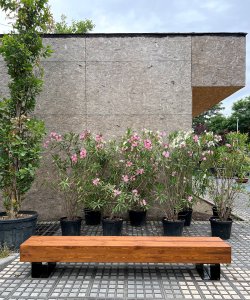 Скамья ТАЙГА. Хит продаж 2026 г.