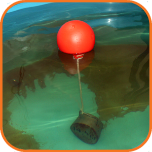 Буй пластиковый Маркер d16х19см (2л) 2025 г.