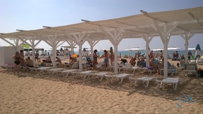 Навесы теневые для пляжа. Металл. Нержавейка. Дерево, окрашивание. Любая площадь и конфигурация. Заказ 2024 г.