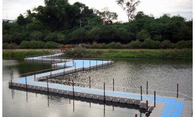 ПОНТОННЫЕ МОСТЫ И ПЕРЕПРАВЫ 2023 г.