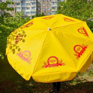 Брендирование зонтов 2027 г.