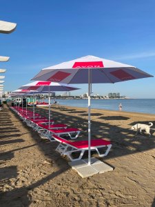 Брендирование зонтов 2024 г.