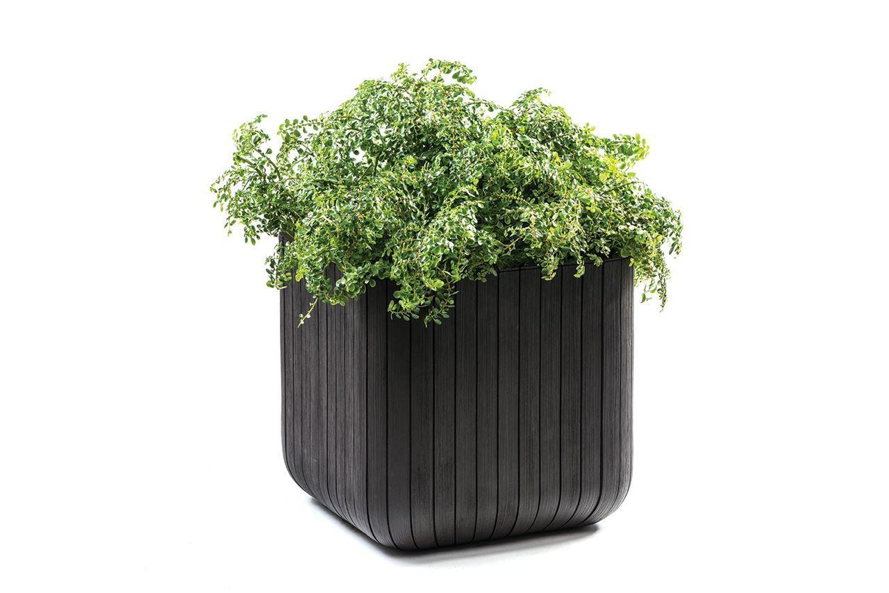 Кашпо Cube Planter l